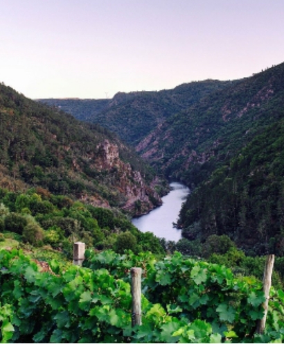 bodega alma das dona 5