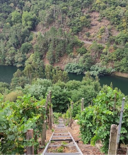 bodega alma das dona 6