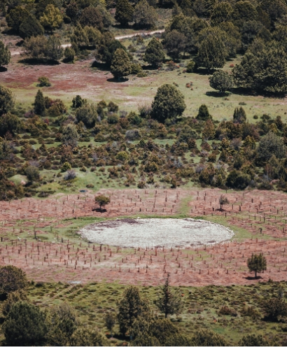 bodega vinos sinceros 5