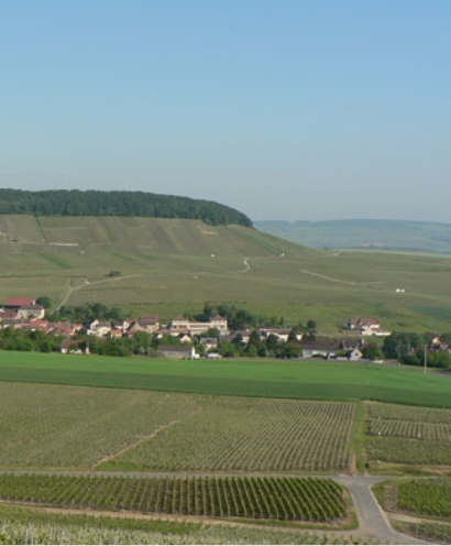 champagne apollonis 3