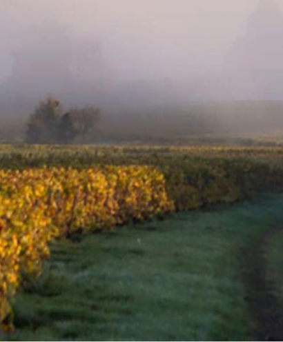 champagne copinet 3