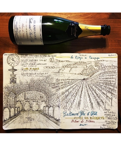 champagne gallimard 6