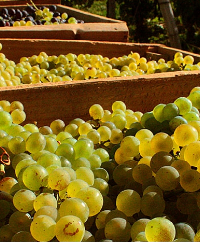 domaine baud 6