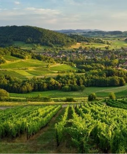 domaine baud 7