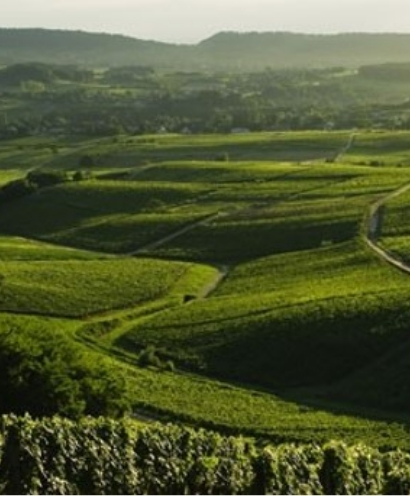 domaine baud 8