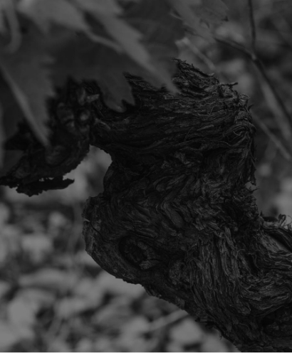 domaine calmel jospeh 4