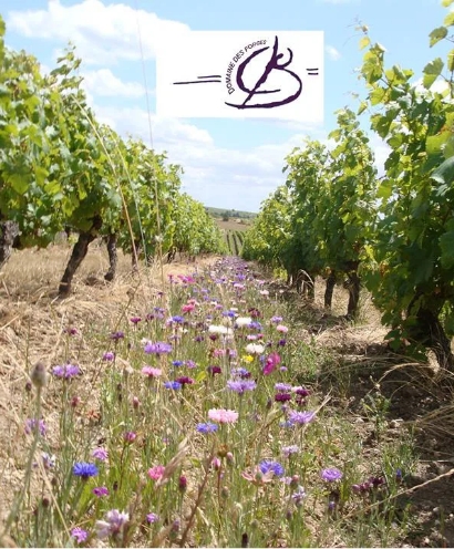 domaine des forges 3