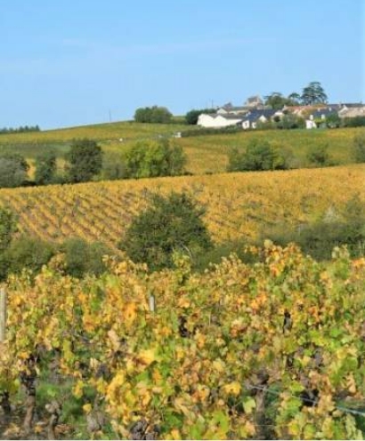 domaine des forges 5