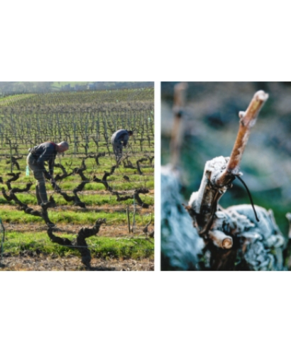 domaine des forges 7