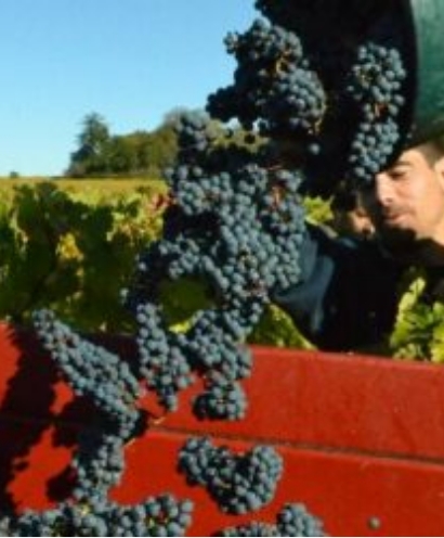 domaine des forges 8