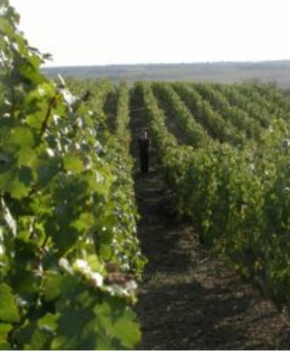 domaine des forges 9