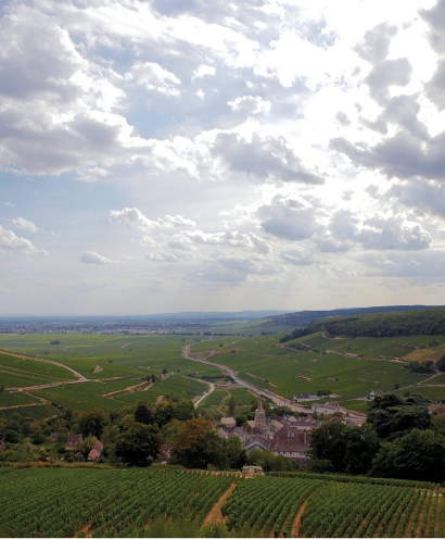 domaine edouard delaunay 14