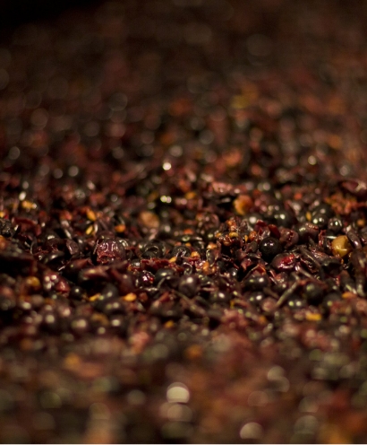 domaine gille 6