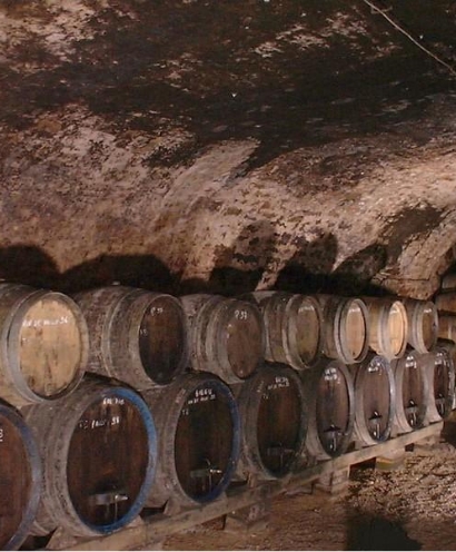 domaine jaques tissot 6