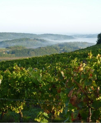 domaine jaques tissot 7
