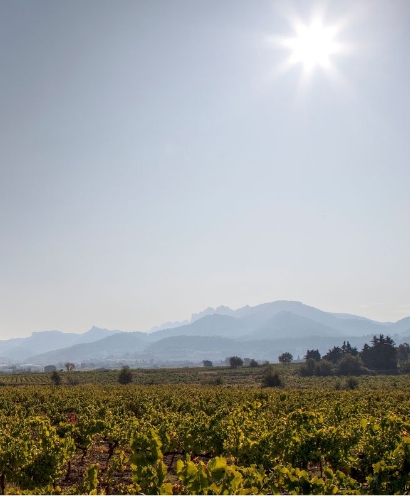 domaine montirius 10