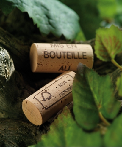 domaine montirius 15