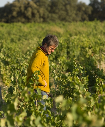 domaine montirius 4