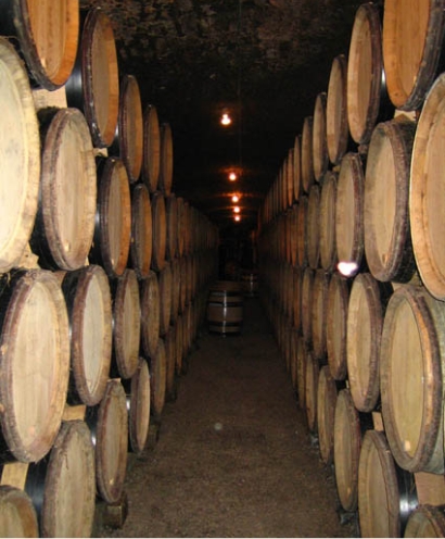 domaine nicolas potel 4