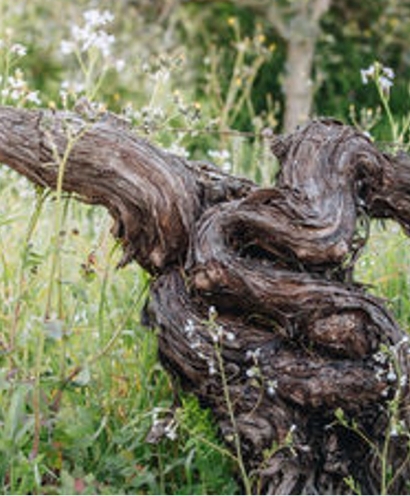 domaine orenga gaffory 10