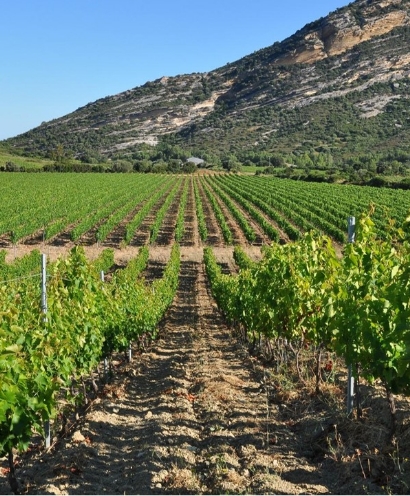 domaine orenga gaffory 11