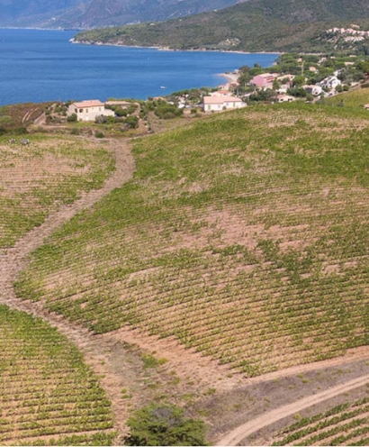 domaine orenga gaffory 6