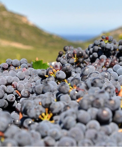 domaine orenga gaffory 7