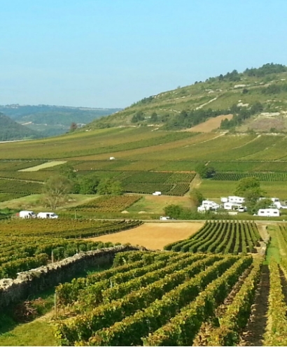 domaine potinet ampeau 3