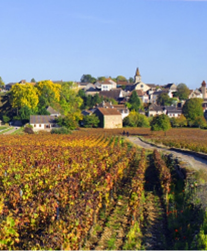 domaine potinet ampeau 4