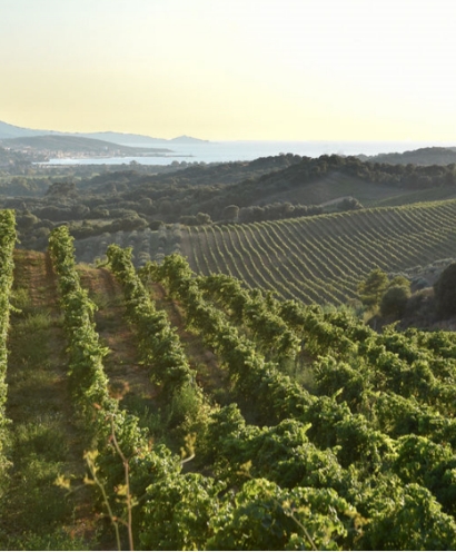 domaine sant armettu 5