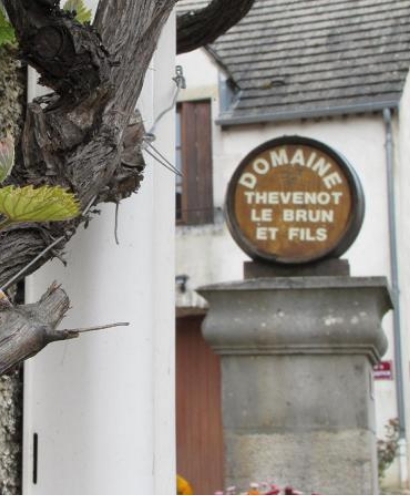 domaine thevenot le brun 3