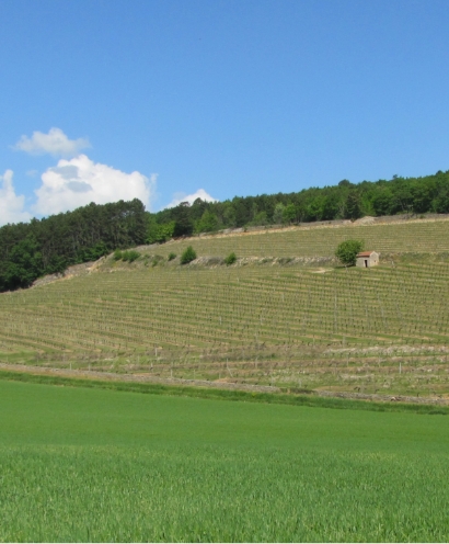 domaine thevenot le brun 4