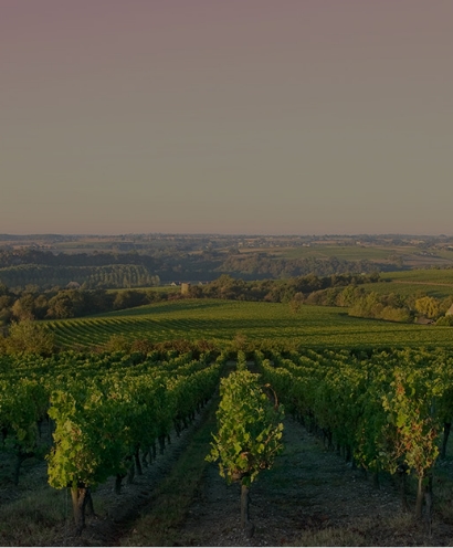 domaine thevenot le brun 8