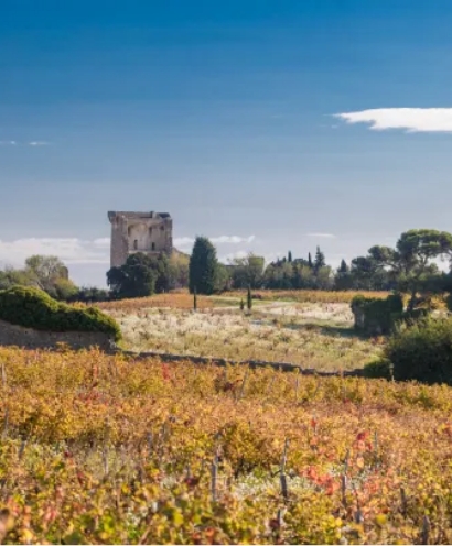 domaine xavier vignon 10