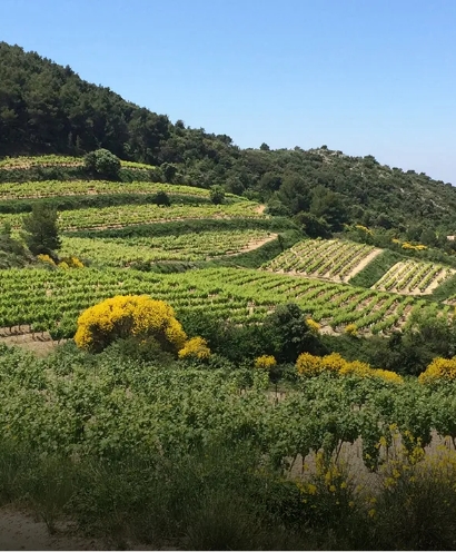 domaine xavier vignon 11