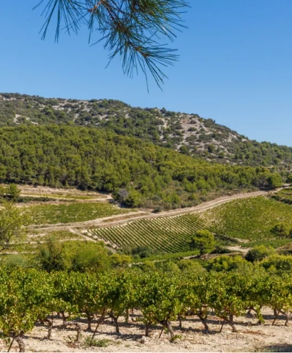 domaine xavier vignon 3