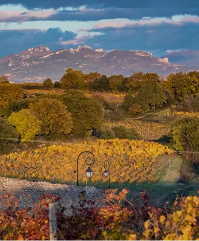 domaine xavier vignon 4