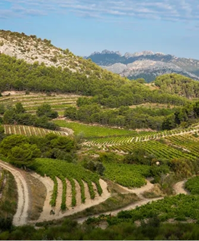 domaine xavier vignon 6