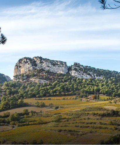 domaine xavier vignon 7