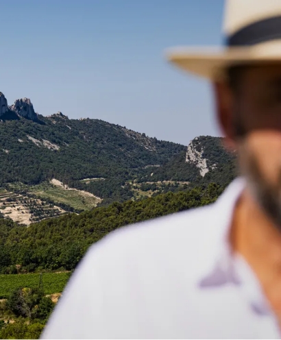 domaine xavier vignon 8