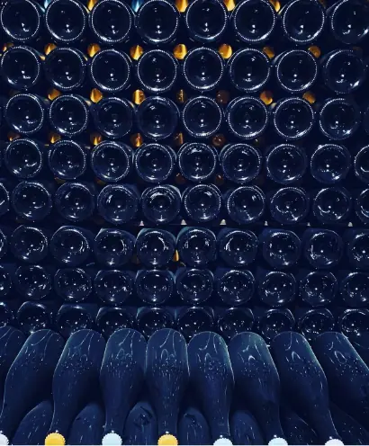 champagne gallimard 8