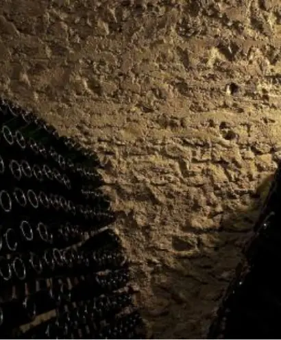 champagne gallimard 9 1