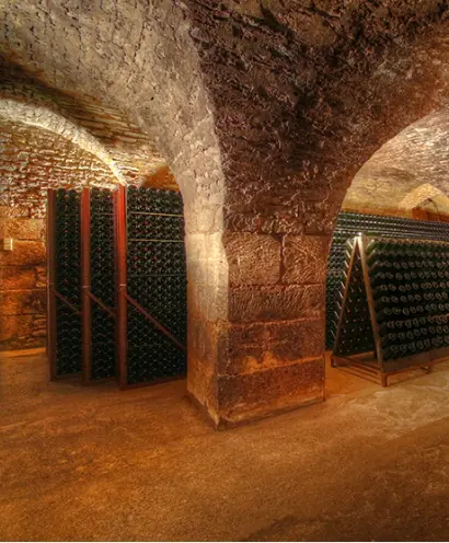 champagne morize 3