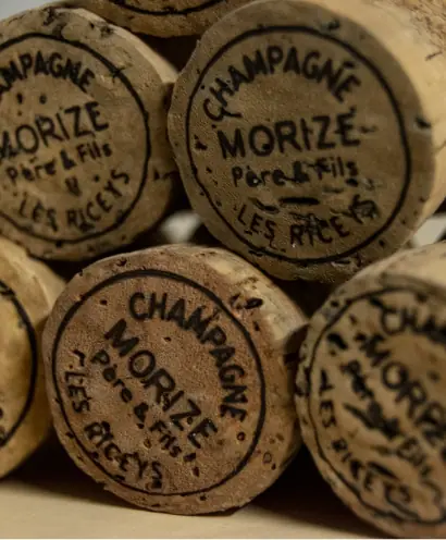 champagne morize 7