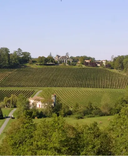 chateau de parenchere 11