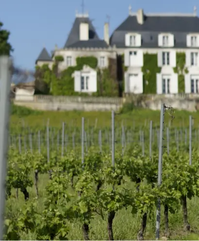 chateau de parenchere 12