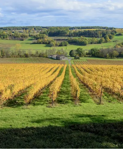 chateau de parenchere 15