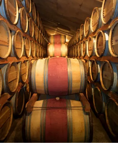 chateau de parenchere 6