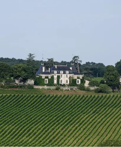 chateau de parenchere 7
