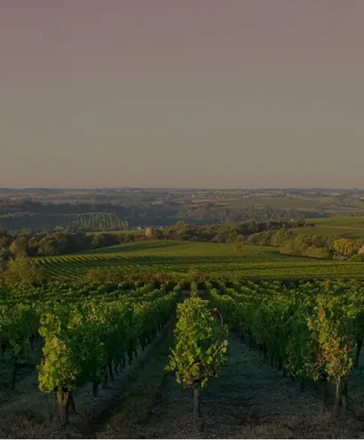 domaine thevenot le brun 8